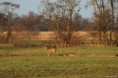 /album/kop-van-overijssel/img-8678-2-jpg/